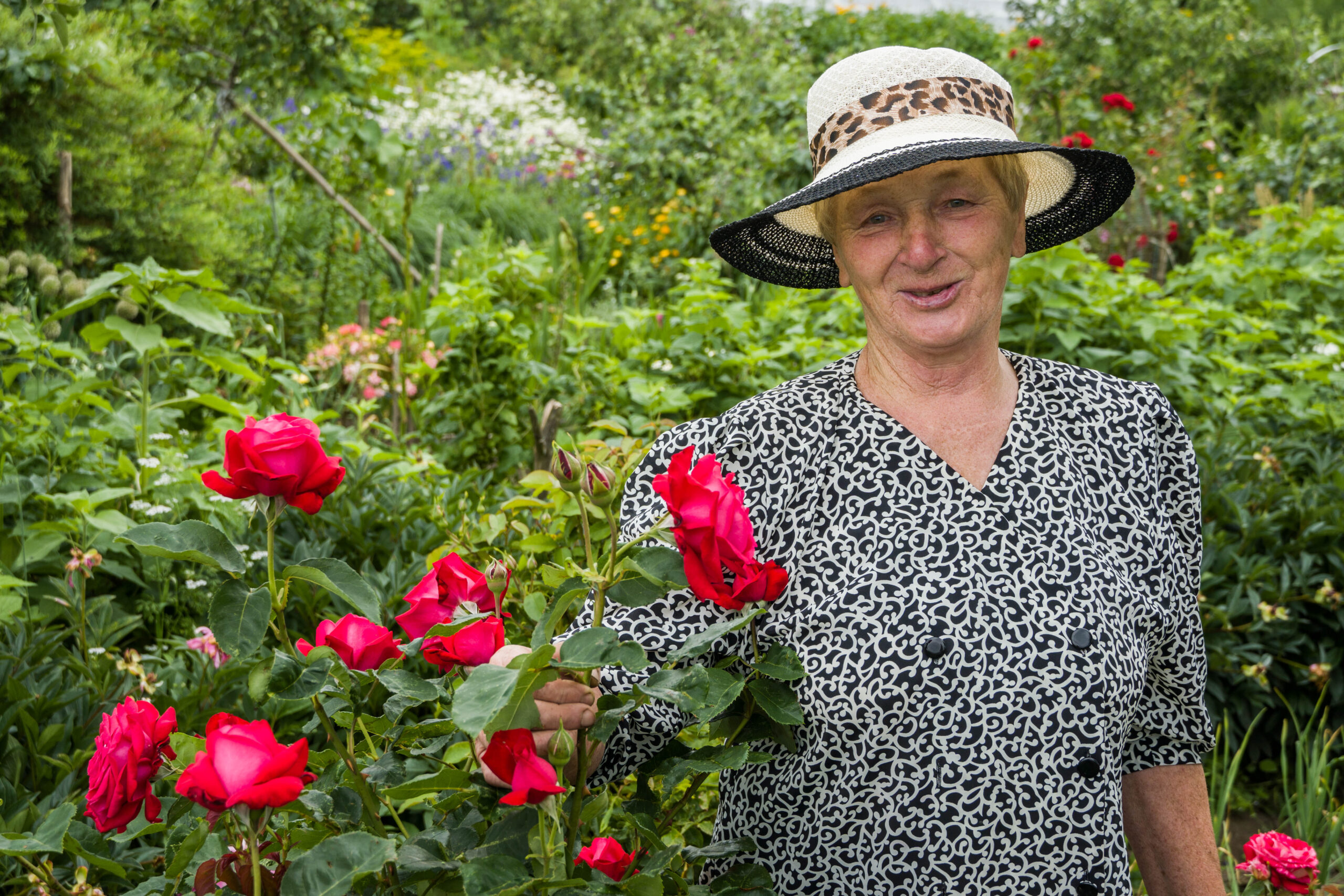 Biruta Ragilis, zielarka. Uśmiechnięta kobieta w jasnym kapeluszu stoi obok wysokich czerwonych róż i spogląda w obiektyw aparatu.