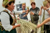 Zdjęcie. Uczestniczki wyjmują z dużego snopu wiązki słomy z kłosami. Prowadząca pomaga im je przycinać.